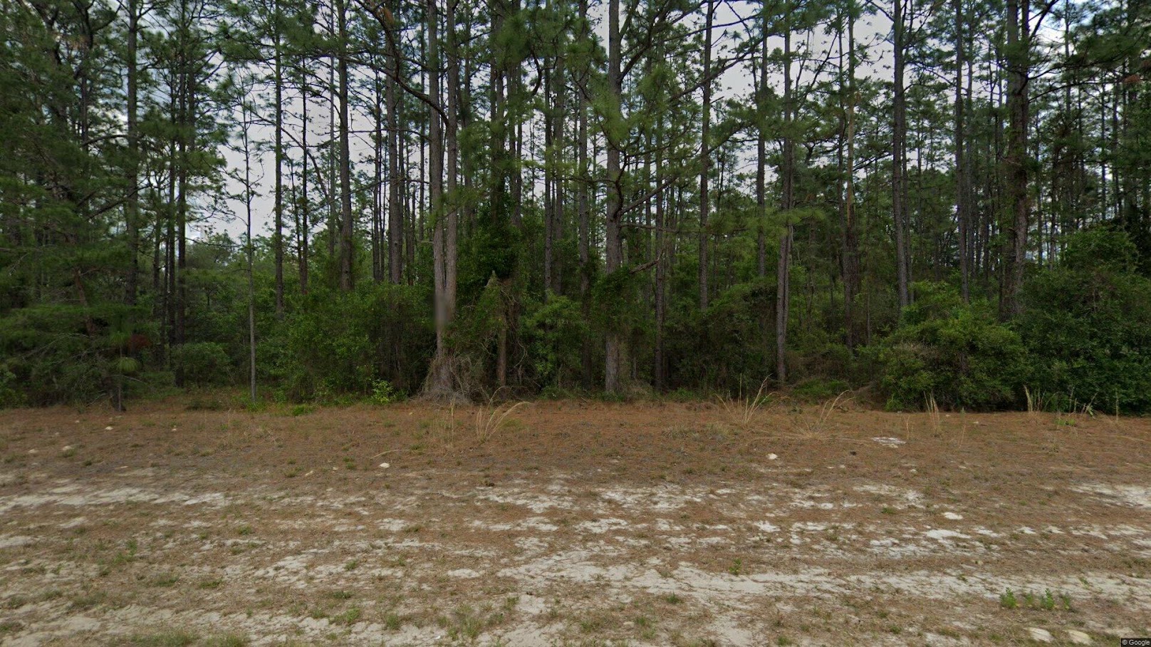 Beautiful Residential Land